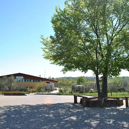 Quattro Pini San Martino della Battaglia
